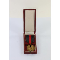Anschlußmedaille Sudetenland, im Etui