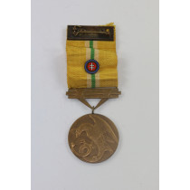Slowakei, Bronzene Medaille für Heldentum