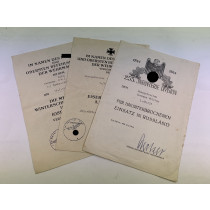Urkunden Gruppe 253. Infanterie Division, Russland Urkunde (!)