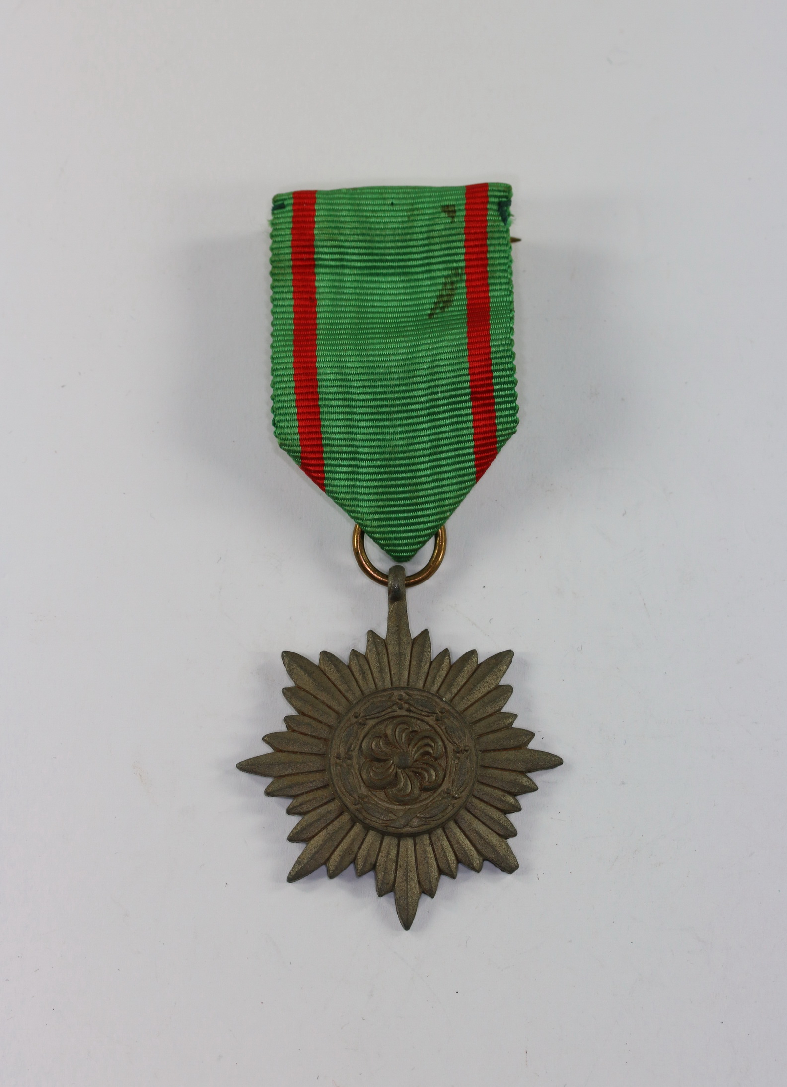 img_3799_bildgr_e_ndern_2 Verdienstauszeichnung für Ostvölker 2. Klasse in Gold – Bild 1